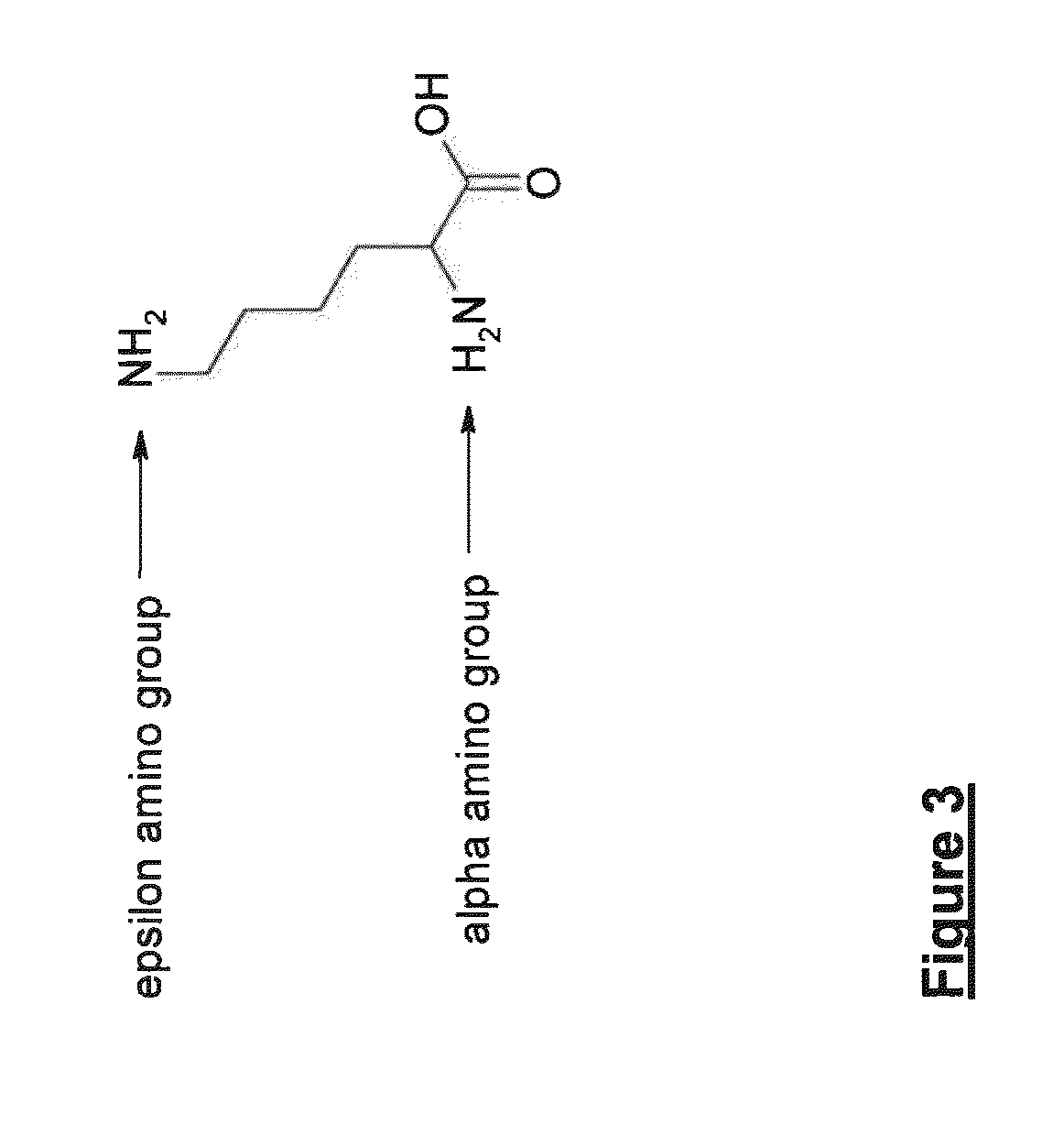 Polypeptides