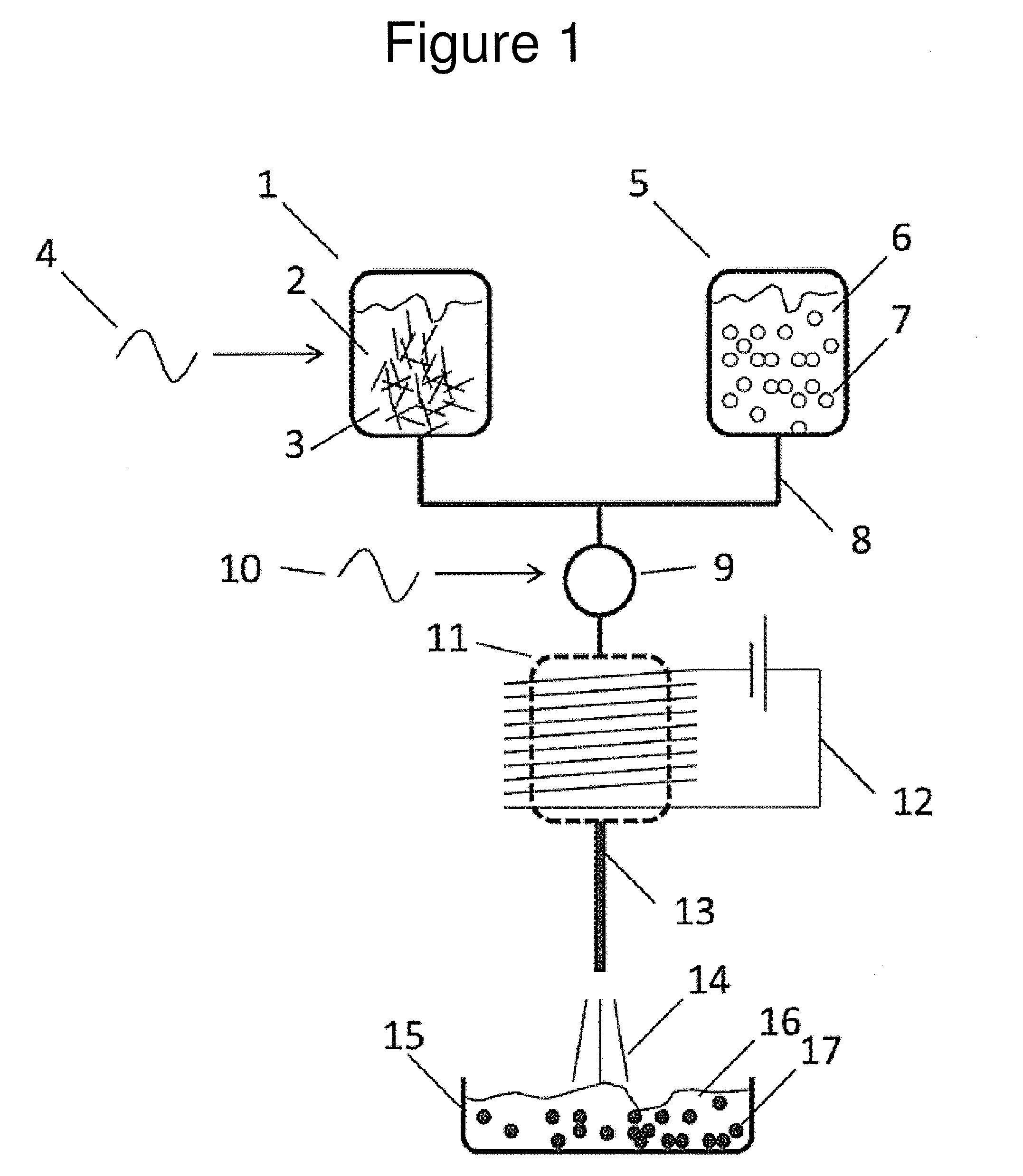 Thermoplastic polymer powder