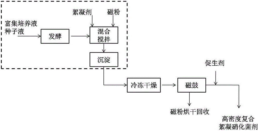 Production technology of high-density composite nitrobacterium inoculant, and high-density fermentation batch culture fermentation tank system of nitrobacteria