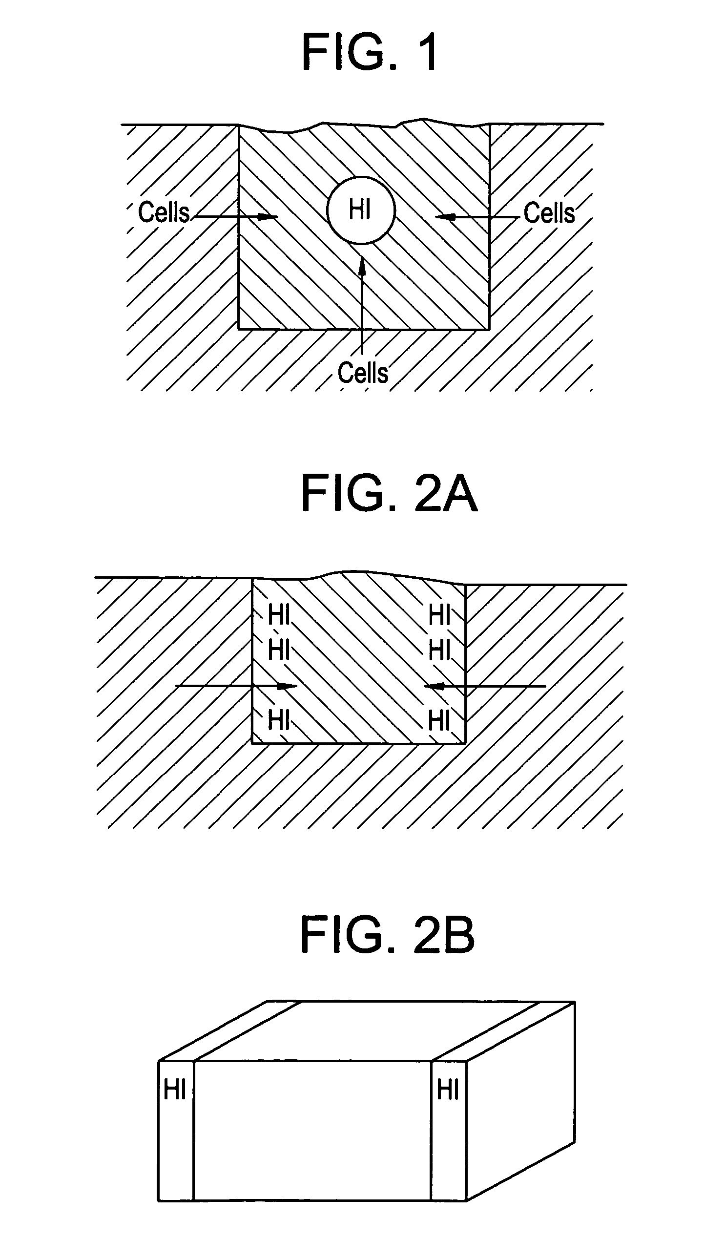 Musculo-skeletal implant having a bioactive gradient