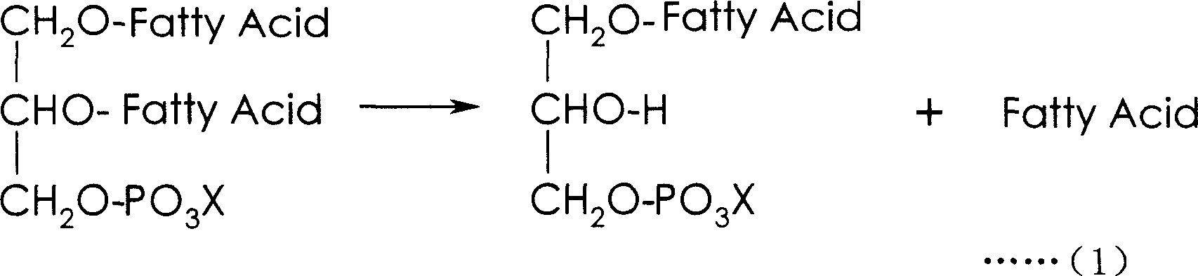 Fat composition containing phospholipid and long-chain polyunsaturated fatty acid supplying compound and food using the same