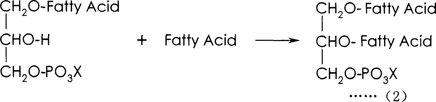 Fat composition containing phospholipid and long-chain polyunsaturated fatty acid supplying compound and food using the same