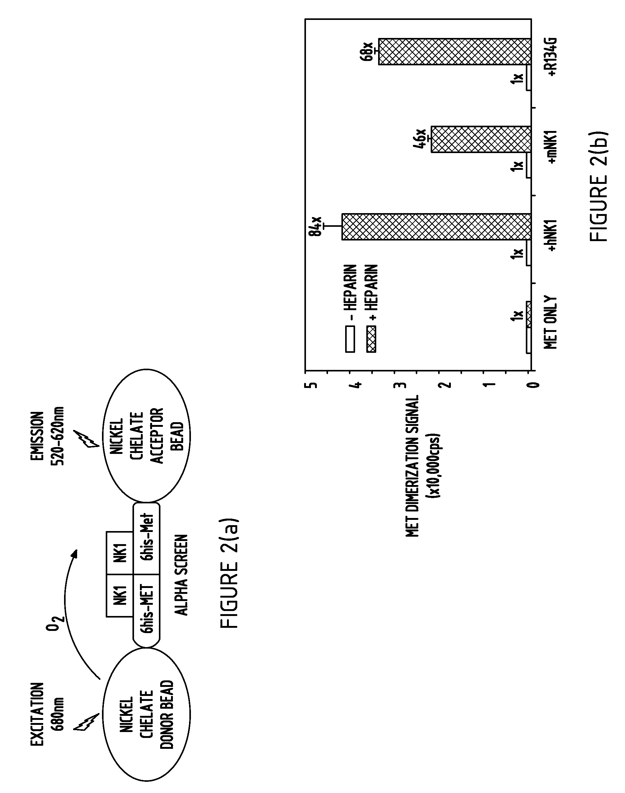 Nk1-based polypeptides and related methods