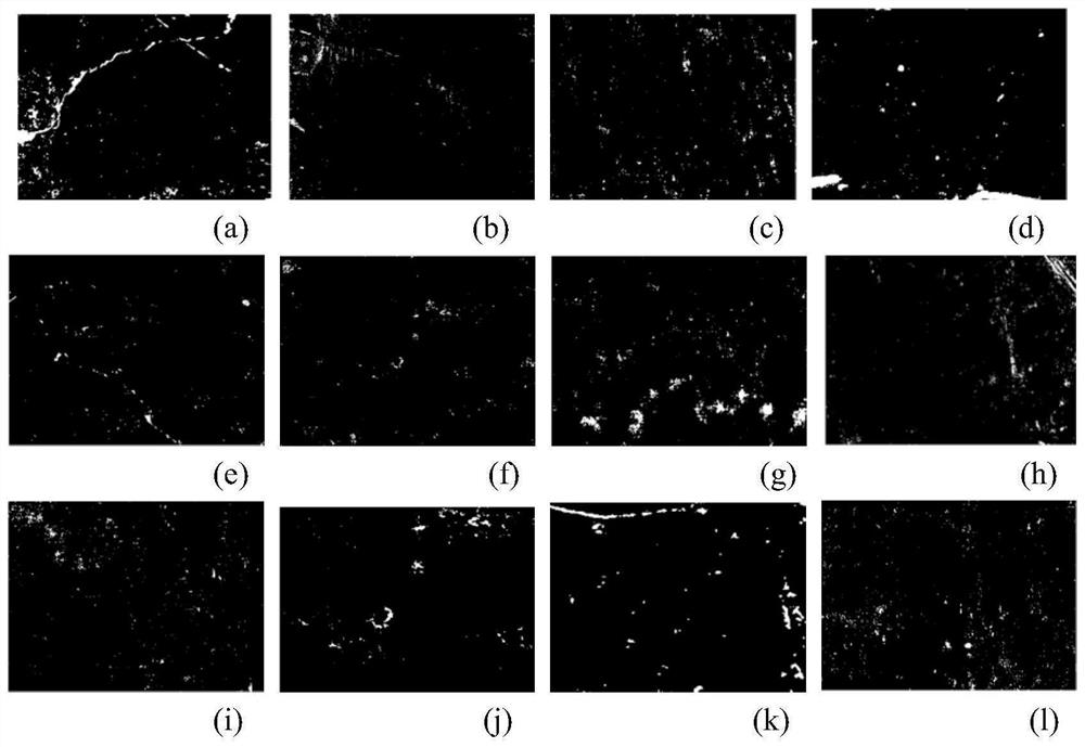 Image data set construction method for morphological prior constrained oracle bone text detection