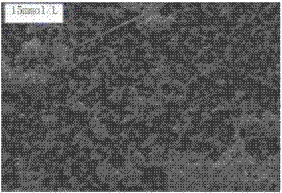 Nanometer silver wire and preparing method thereof