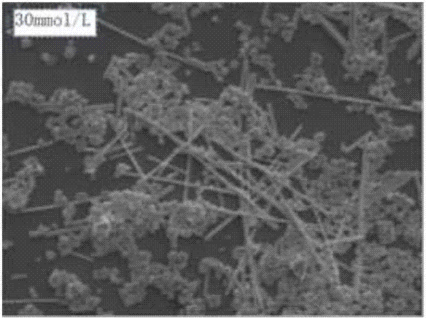 Nanometer silver wire and preparing method thereof