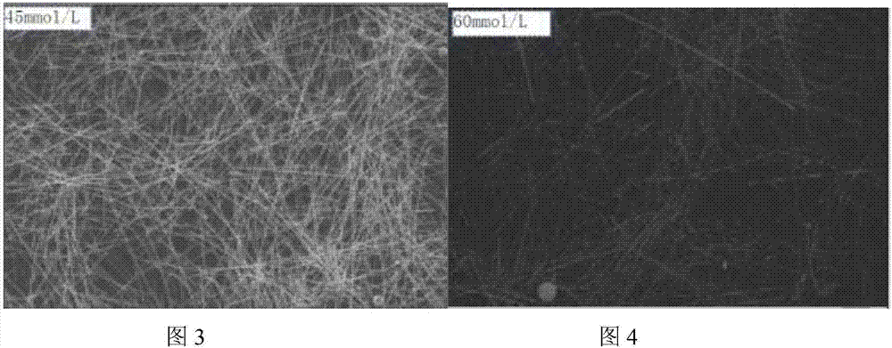 Nanometer silver wire and preparing method thereof