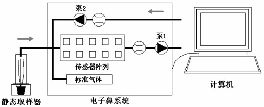 A method for rapidly diagnosing crop diseases by using volatiles