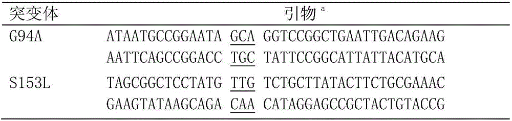 Mutant short-chain dehydrogenase, recombinant expression vector, genetic engineering bacterium and application