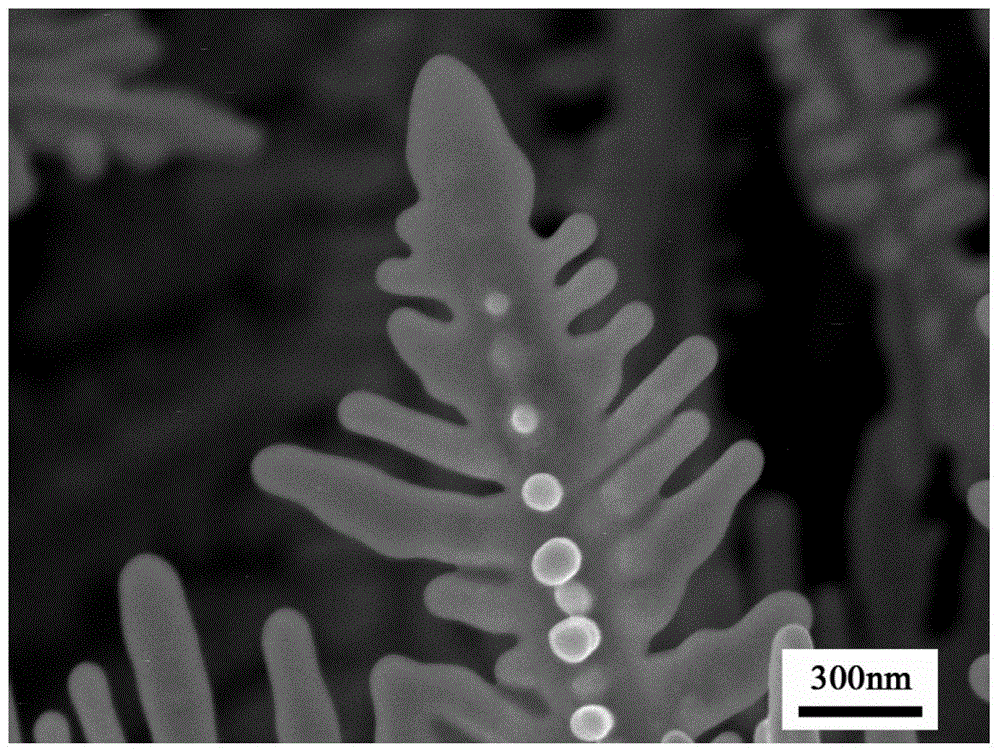 A kind of conductive paste and its preparation method and printed circuit material