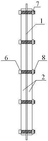 Double-layer composite geogrid