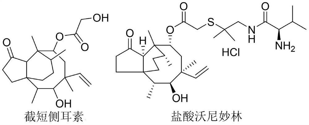 Application of pleuromutilin compound in resisting plant pathogenic bacteria