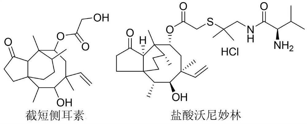 Application of pleuromutilin compound in resisting plant pathogenic bacteria