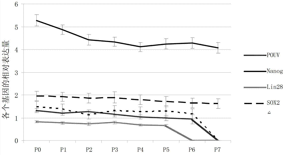 Embryonic stem cell culture medium and application thereof