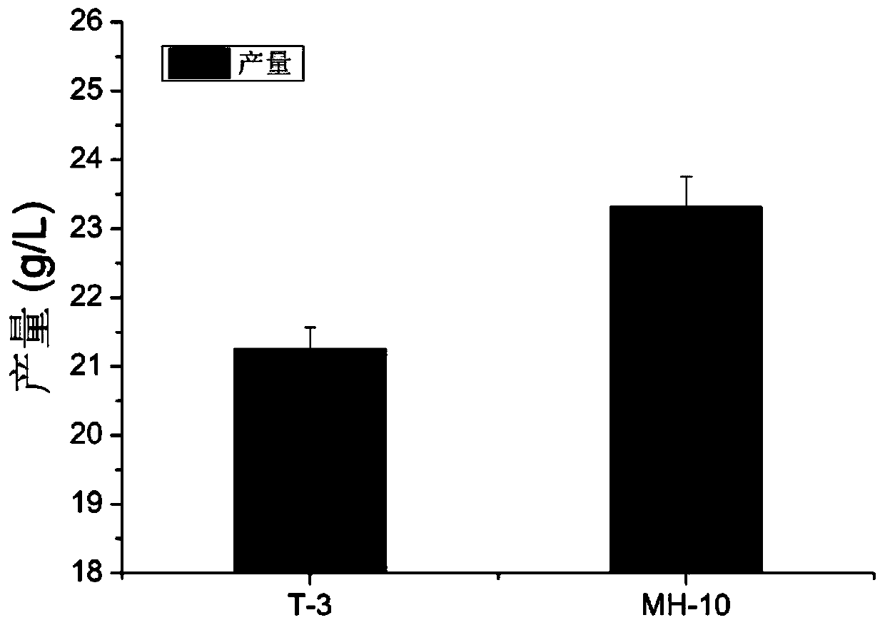 Sphingomonas engineering bacterium as well as construction method and application thereof