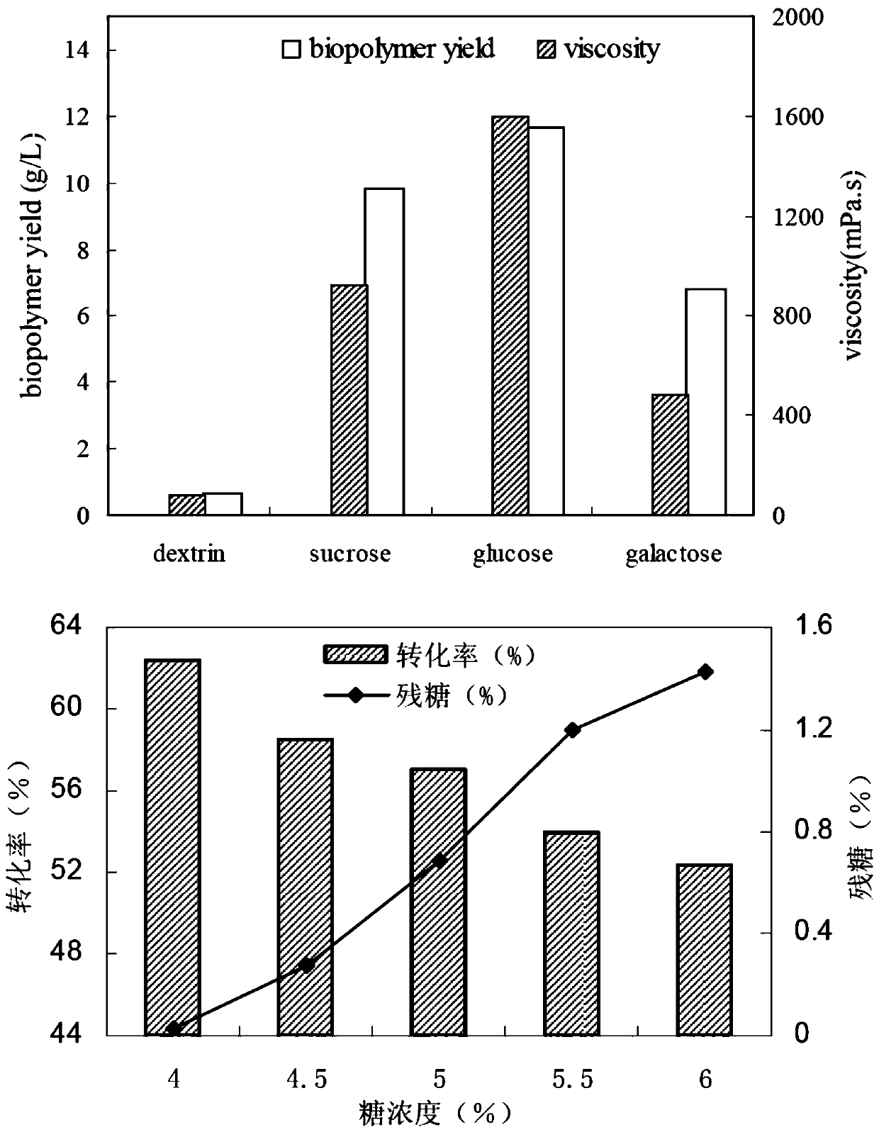 Sphingomonas engineering bacterium as well as construction method and application thereof