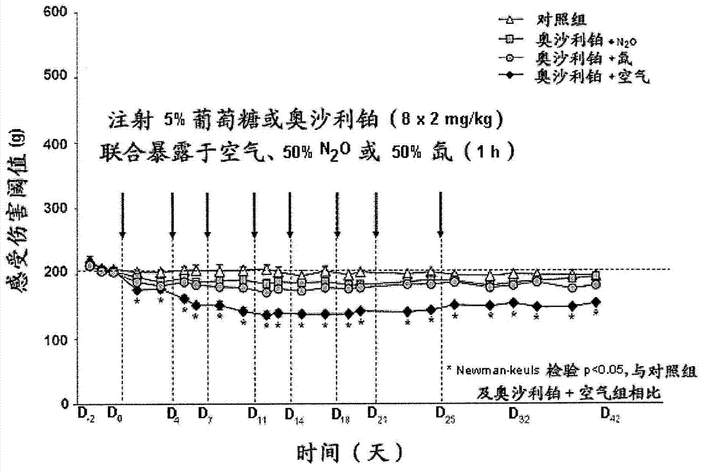 Use of inhaled nitrous oxide or xenon for preventing neuropathic pain induced by cancer chemotherapy