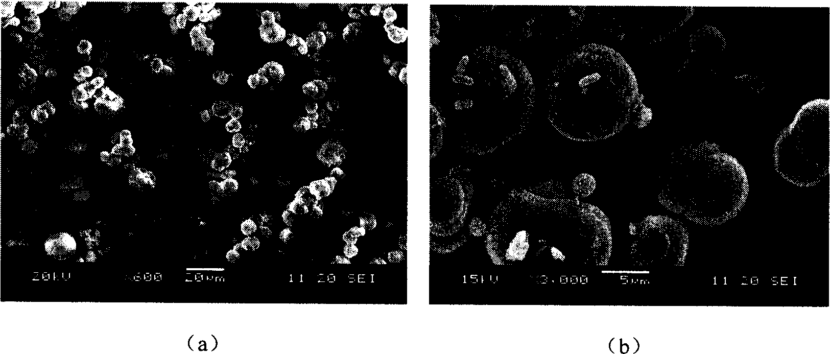 Preparation of calcium carbonate by microbe deposition