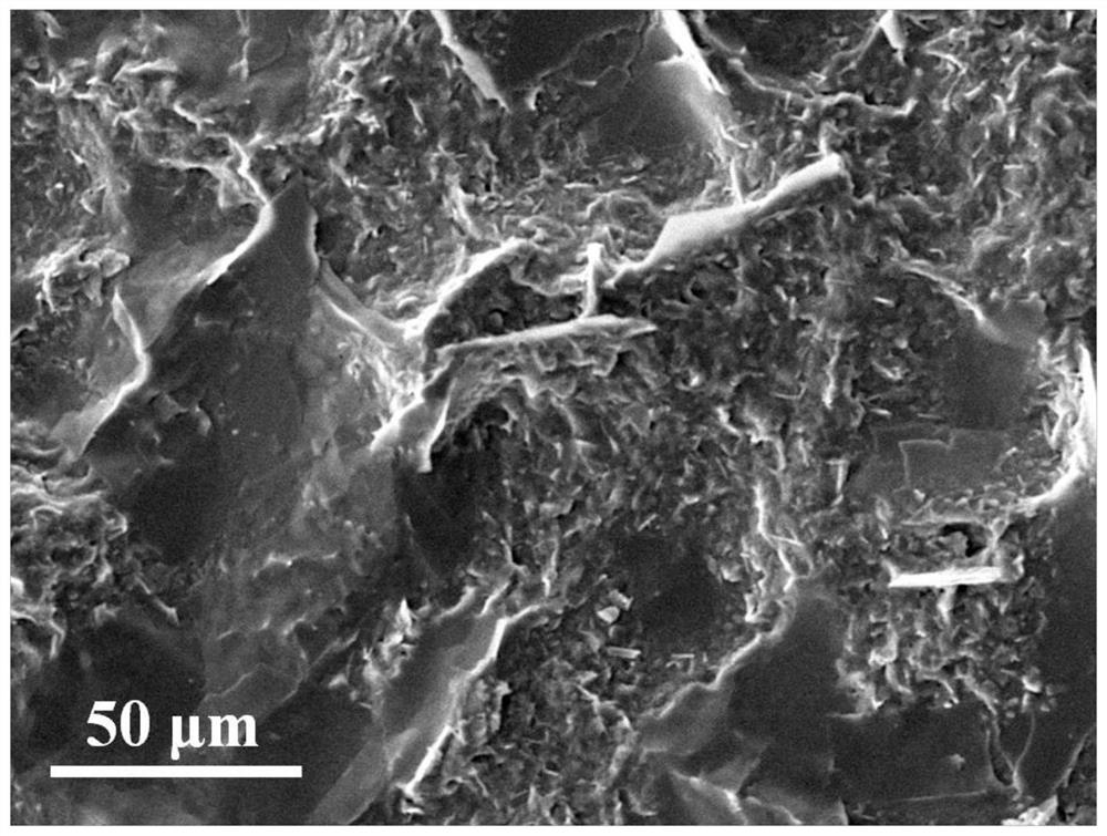 Two-dimensional layered zeolite molecular sieve membrane with high separation stability as well as preparation method and application thereof