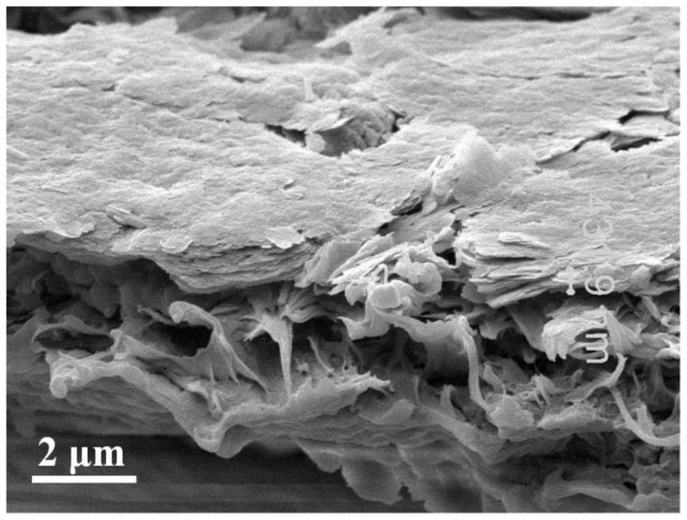 Two-dimensional layered zeolite molecular sieve membrane with high separation stability as well as preparation method and application thereof