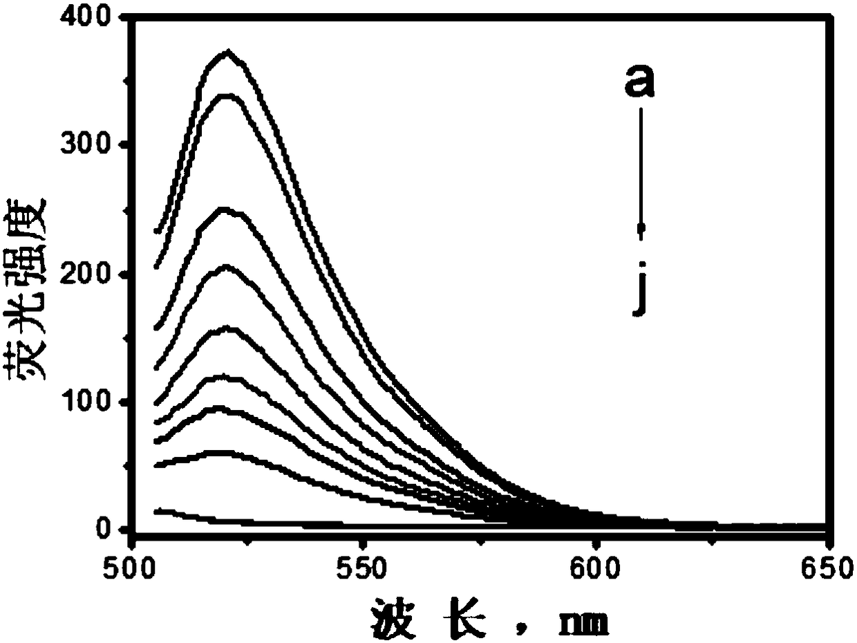 Detection system of nucleic acid and detection method and application thereof