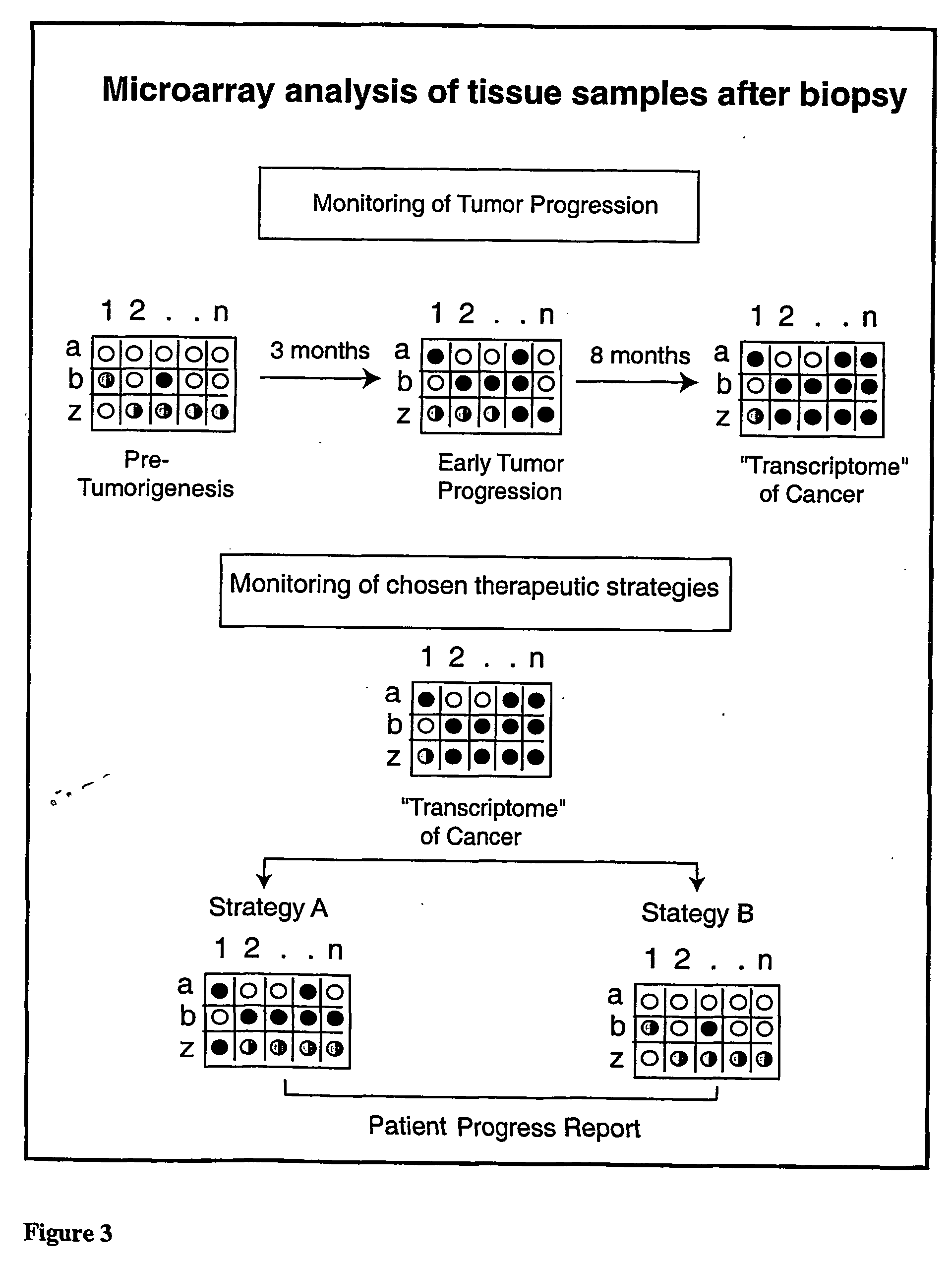 Micro-arrayed organization of transcription factor target genes