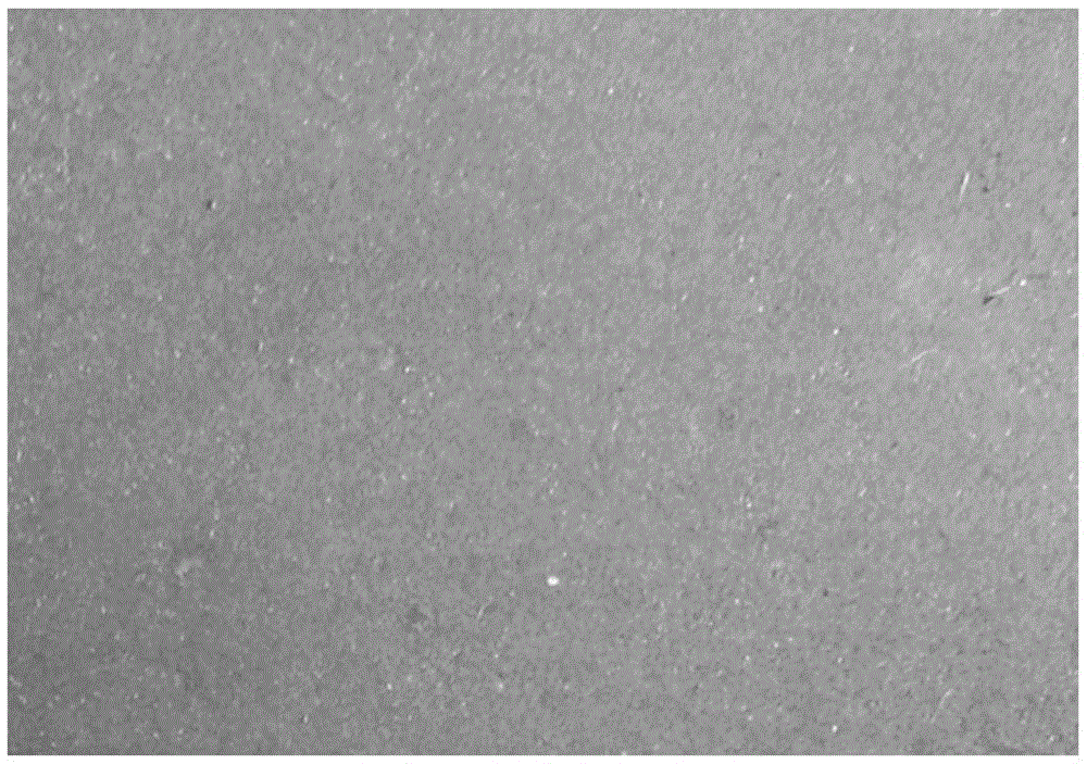 Oil-based high-temperature oxidation-resistant protective coating and its application and production method of titanium ingot