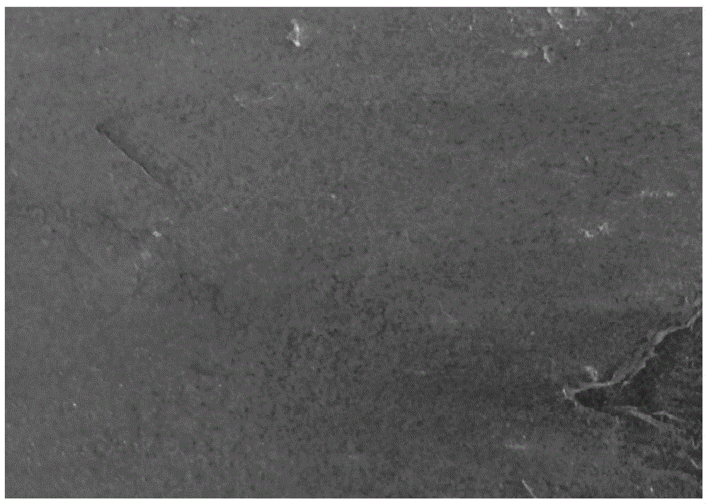 Oil-based high-temperature oxidation-resistant protective coating and its application and production method of titanium ingot