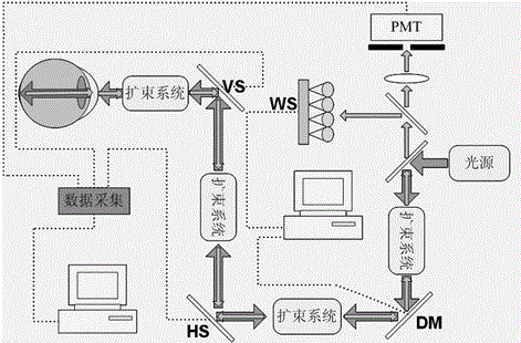 A Calculation Method of Cone Cell Density Based on Image Recognition