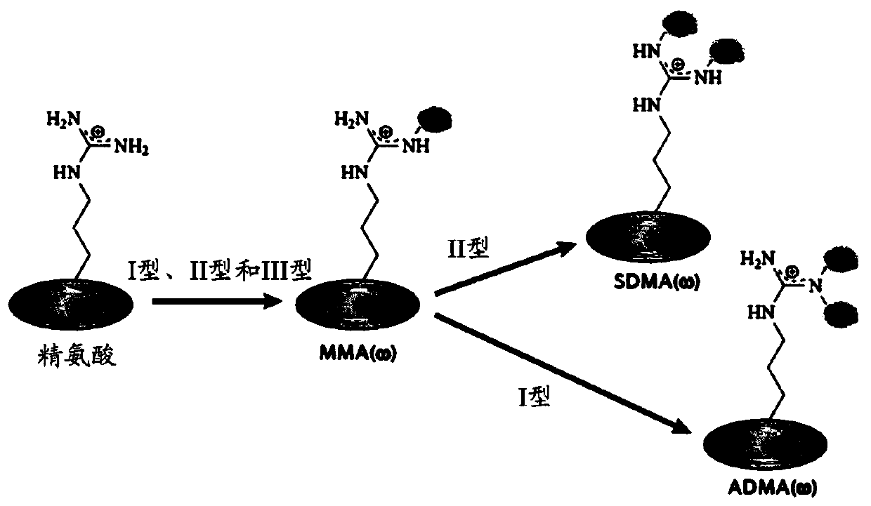 Methods of treating cancer