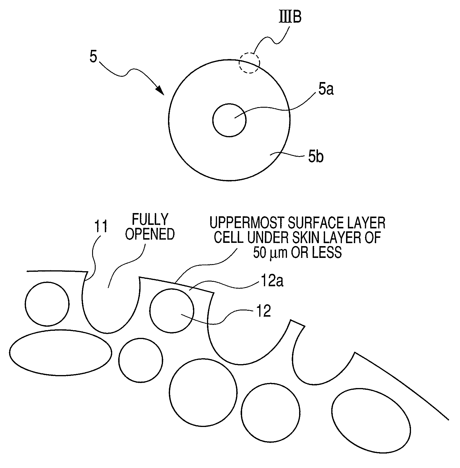 Toner supplying roller, developing apparatus, and image forming apparatus