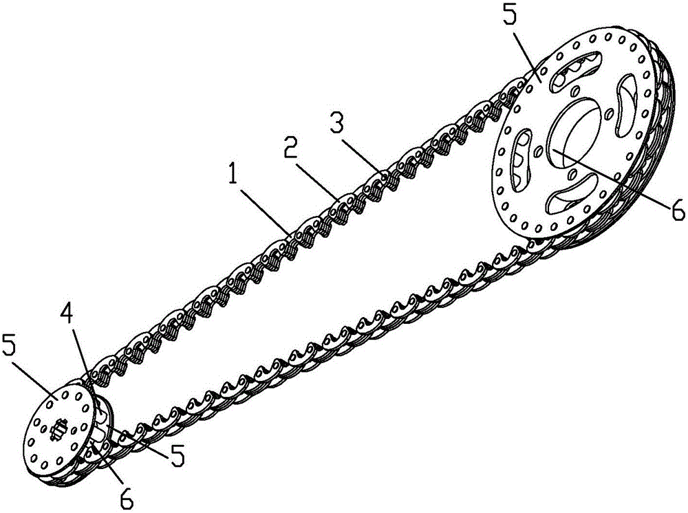 Chain transmission system