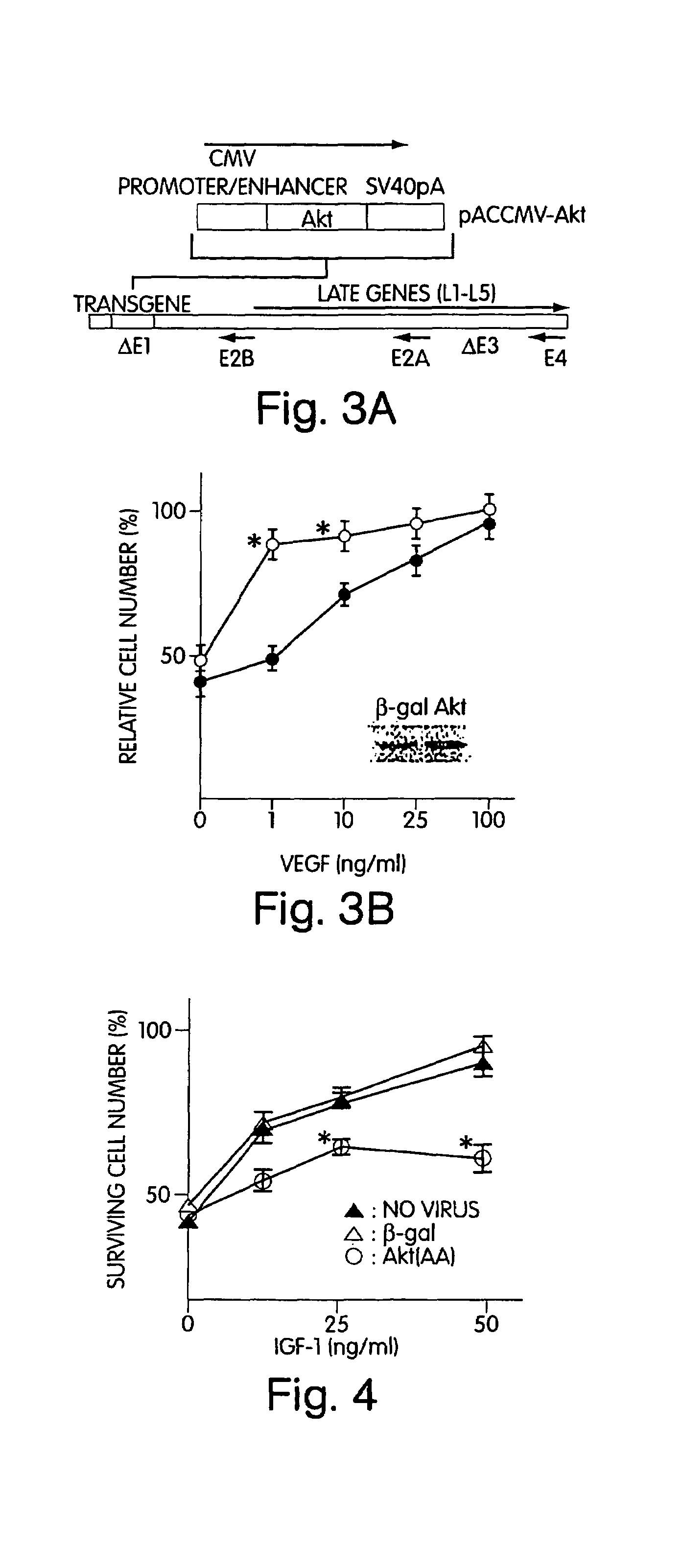 Akt compositions for enhancing survival of cells