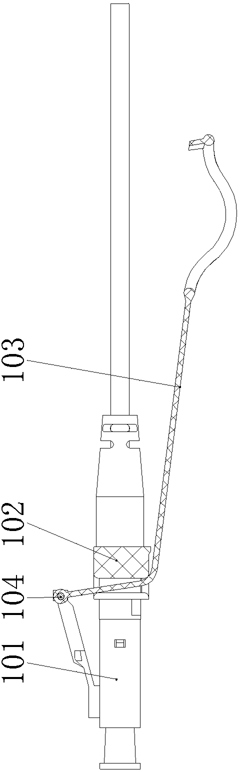 A duplex dlc plug