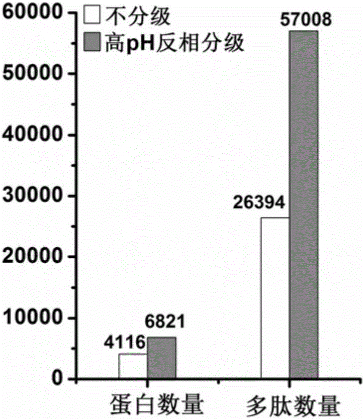 Protein pretreatment and polypeptide high-pH reverse-phase gradation-integrated proteome reactor and application thereof