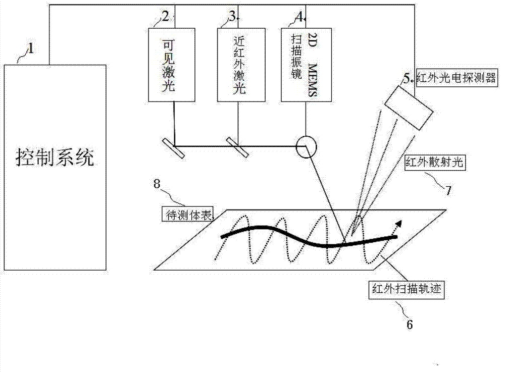 Vein viewing system