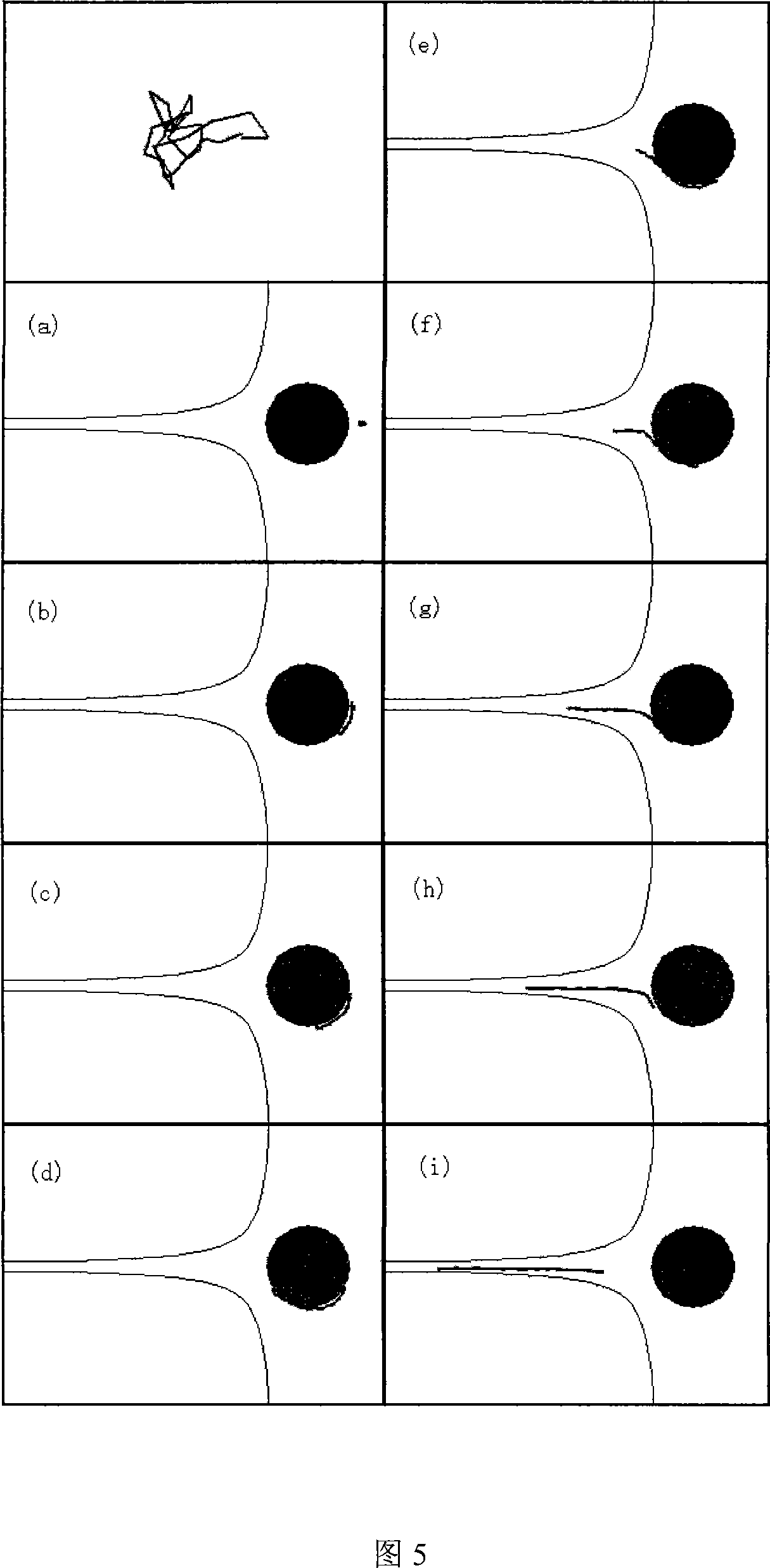 DNA separating micro-fluidic chip