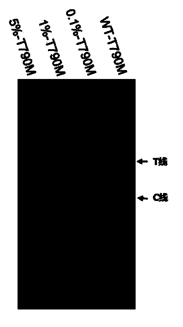 Kit and detection method for detecting EGFR gene T790M mutation