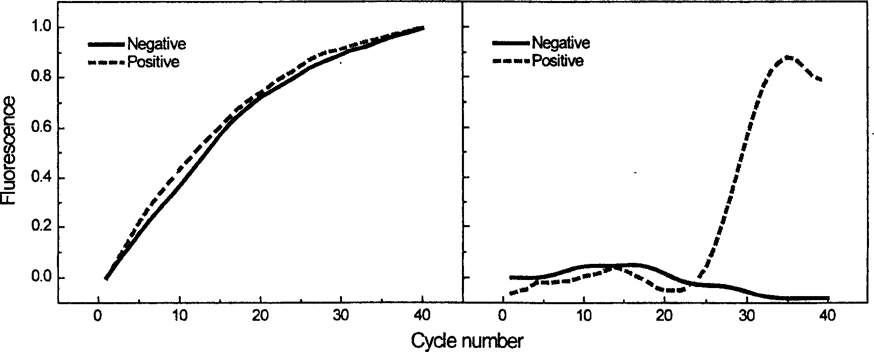 Fluorescence probe for hgih temperature polyase exonuclease activity in real time PCR test