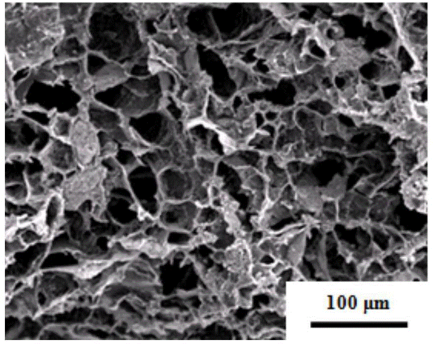 Method for preparing oriented porous silicon nitride ceramics based on gelatin solution freeze-drying technology