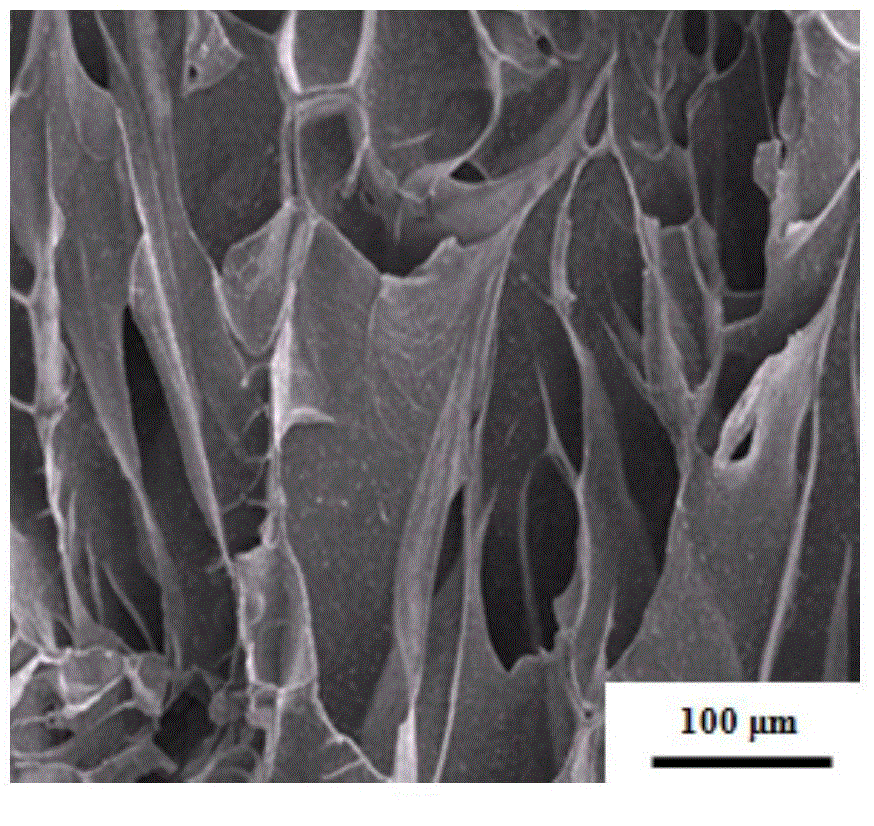 Method for preparing oriented porous silicon nitride ceramics based on gelatin solution freeze-drying technology