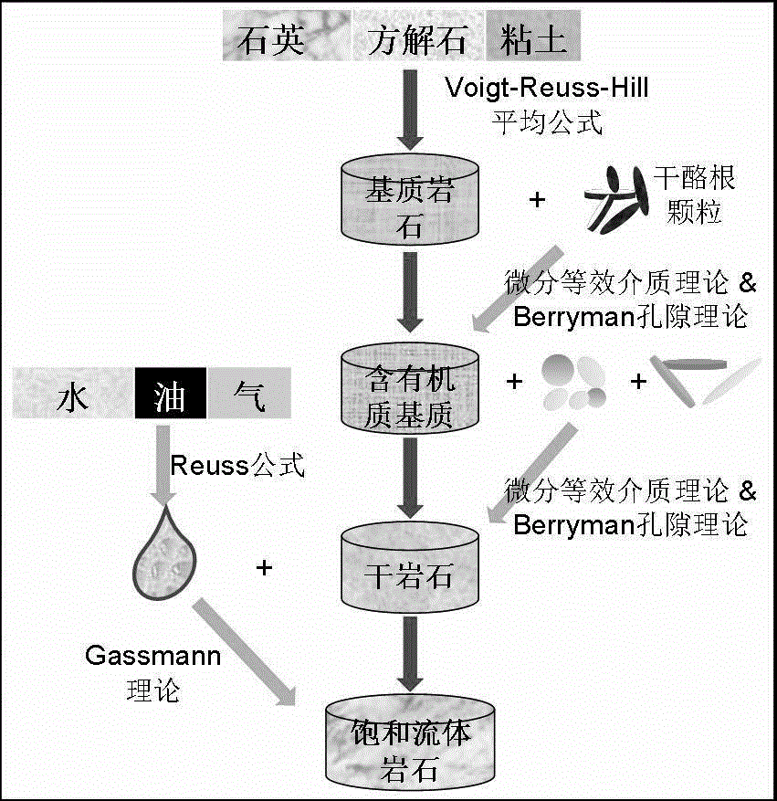 Shale gas reservoir crustal stress logging prediction method based on rock physics model