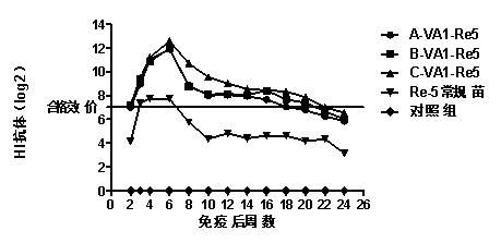 Compound immunoenhancement agent, vaccine for birds and method for preparing compound immunoenhancement agent