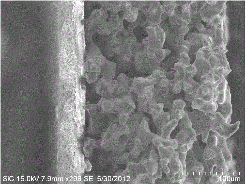 Structure of flat-plate type metal-support solid oxide fuel cell for immersing electrodes