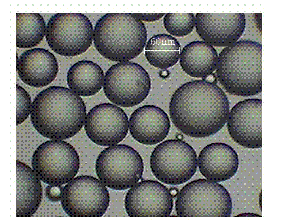 Electrophoretic microcapsules formed by complex coacervation of carboxyl butyronitrile/gelatin and Arabic gum and preparation method thereof