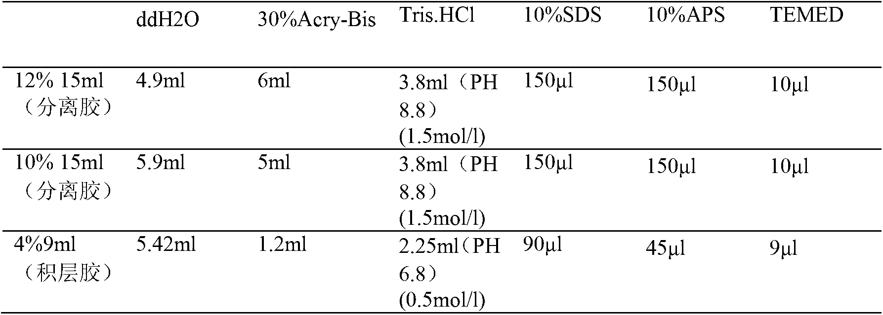 Autophagy monitoring method for fat cells