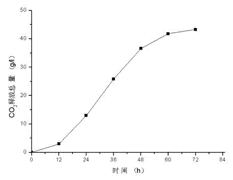 Screening and application of yeast with high ethanol yield and low fusel oil yield in Chinese Maotai-flavor liquor production