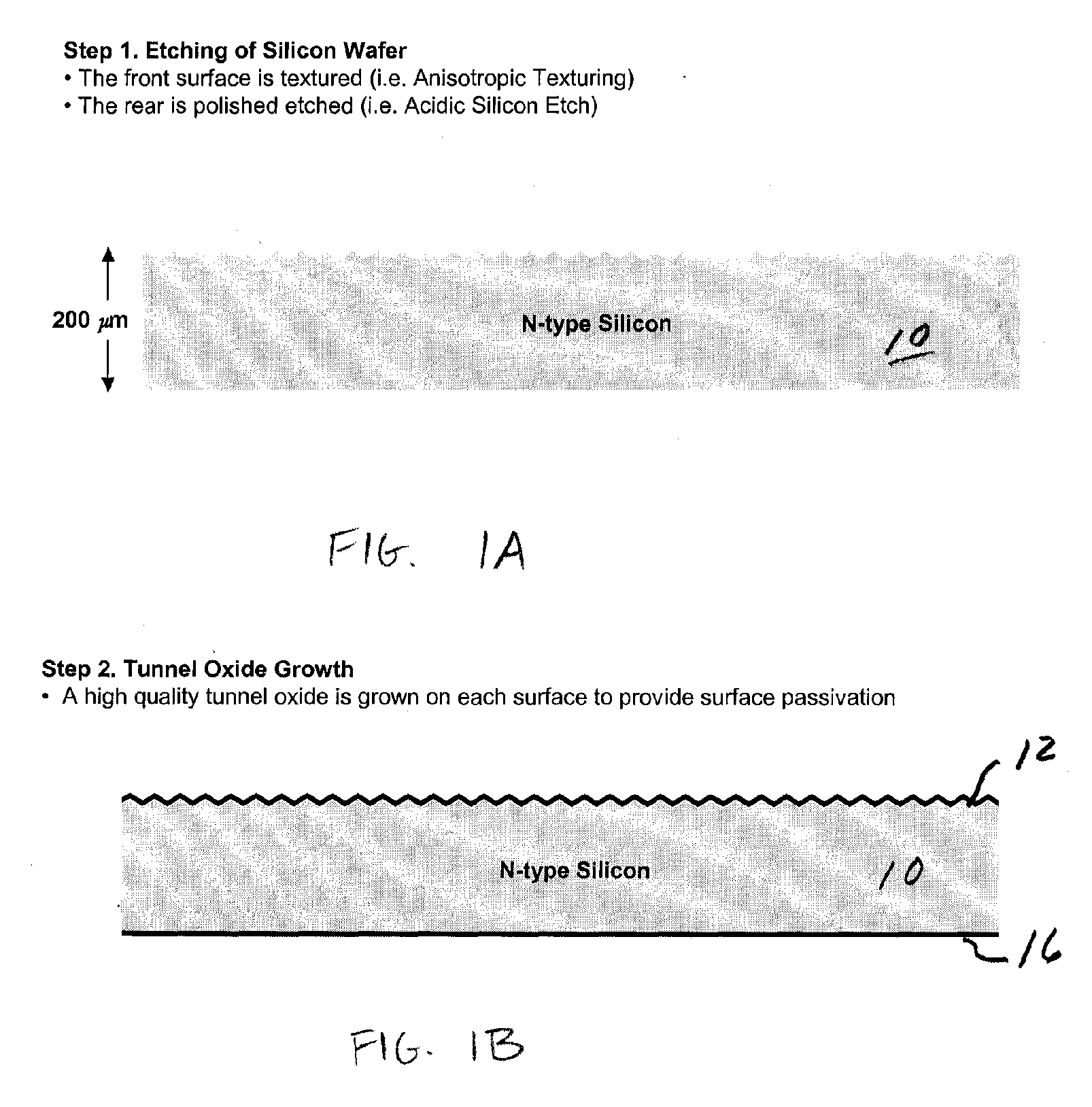 Solar cell having polymer heterojunction contacts