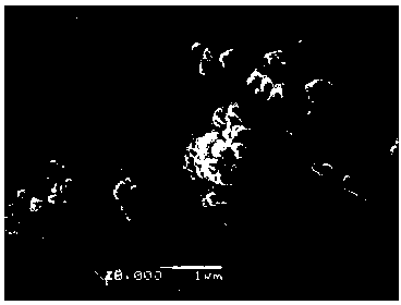 Method for synthesizing carbon-coated lithium ferrous pyrophosphate by hydrothermal method