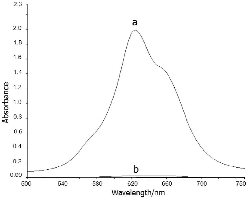 Method for measuring molybdate radical by using tetrasulfo nickel phthalocyanine-lead (II) optical probe